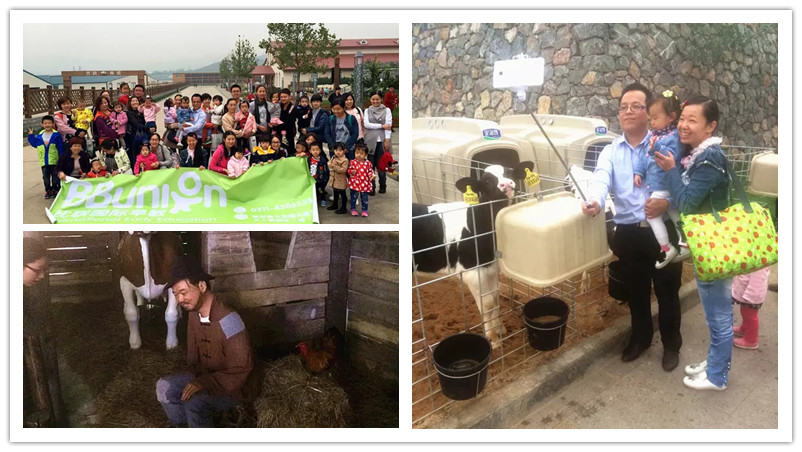 BBunion国际早教石家庄中心活动花絮：君乐宝牧场行